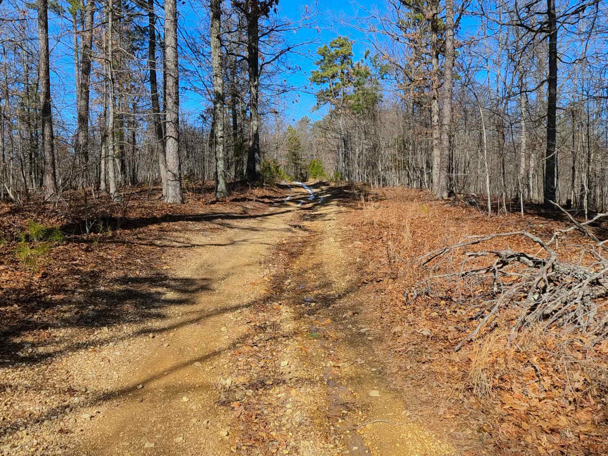Upper Henderson - FS 2260 photo 3