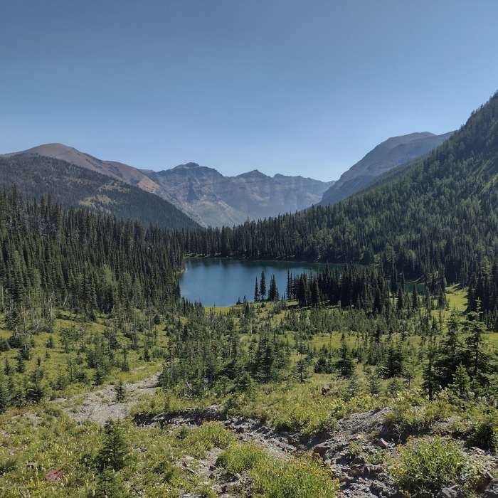 Near Great Divide Trail - Section A (Canada/USA Border to Coleman)