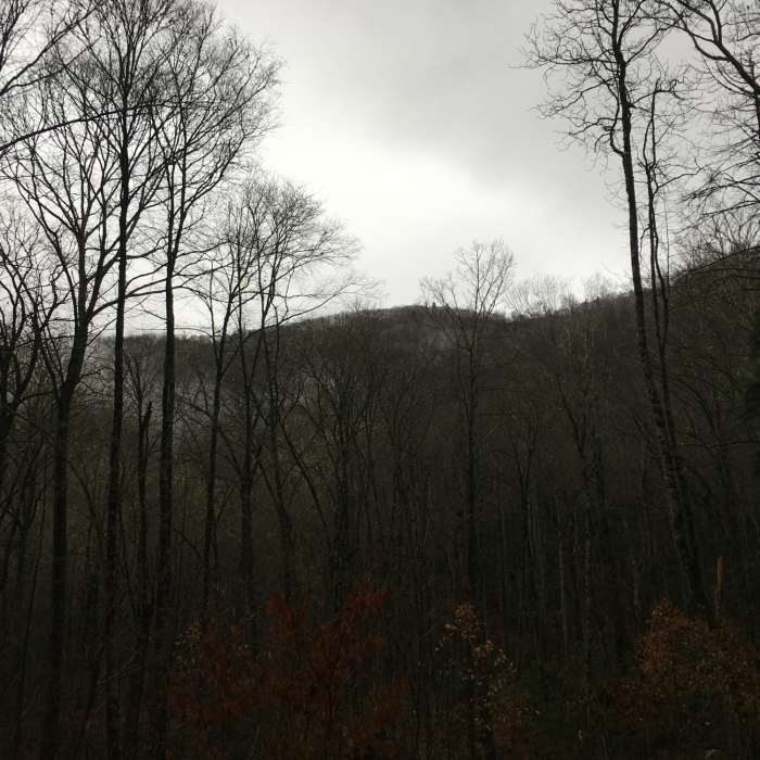 View of the surrounding mountains at the Kephart Shelter. Near Kephart Prong Trail