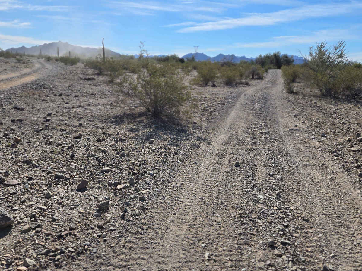 Wild Trail trail photo