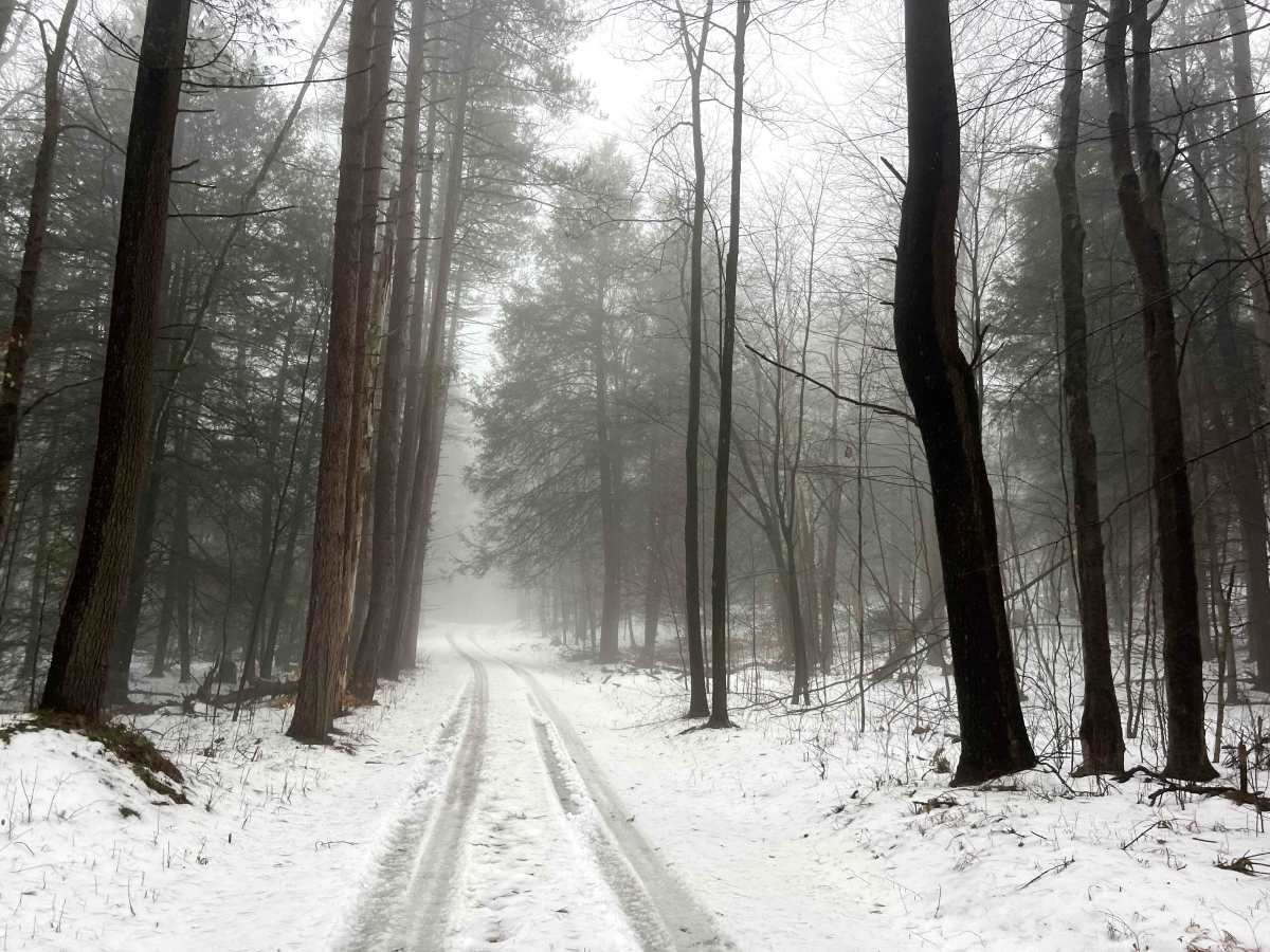 Canada Run Road photo 6