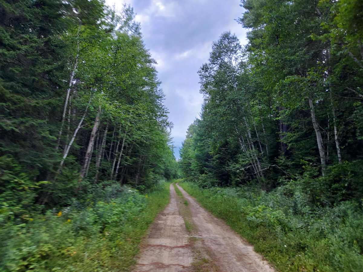 Truck Trail 1 photo 3
