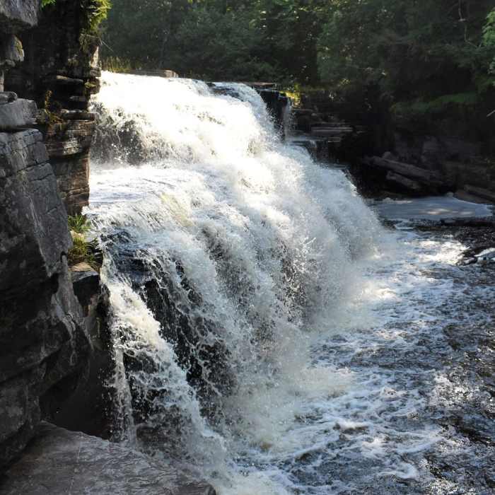 Near Canyon Falls Trail