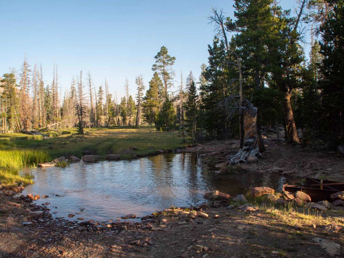 Ashley Twin Lakes Loop - FS 10027 photo 2