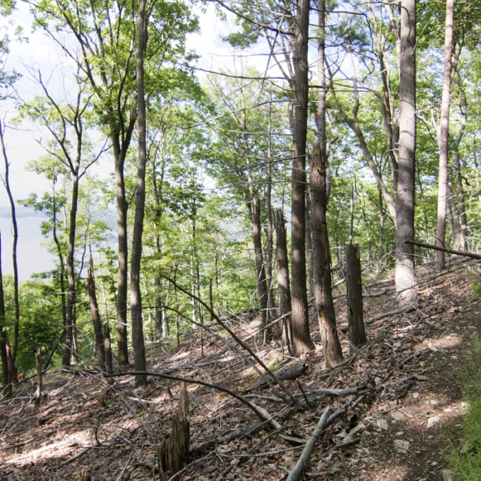 Near Storm King Mountain