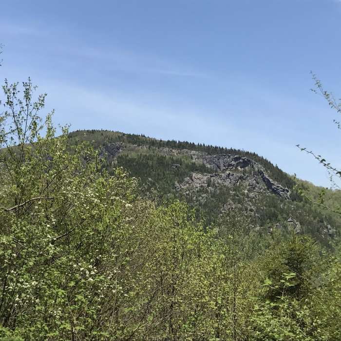 View of the Great Cliffs. Near The Long Trail (Division 6)