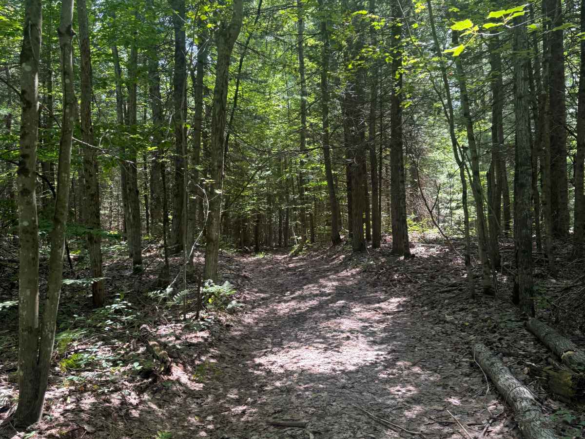 3CT Trail photo 3