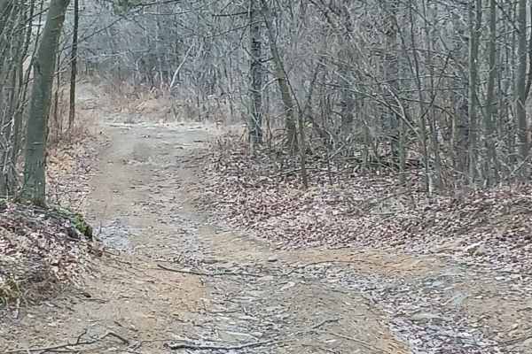 Trail 5E - Rock Run Recreation Area