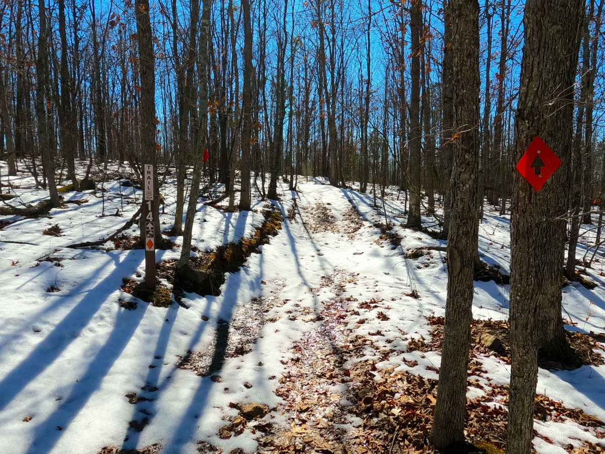 Sutton Bluff ATV 14 North - SB 14 trail photo