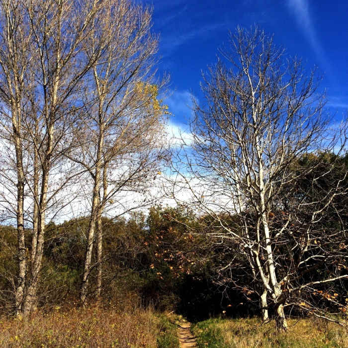 Near Wood Canyon Cave Tour