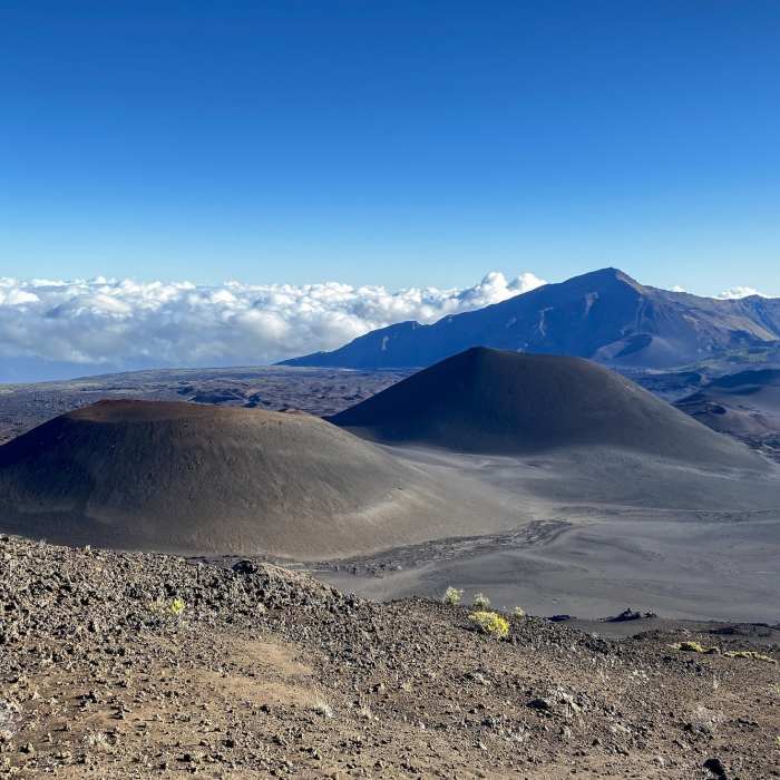Near Sliding Sands Out-and-Back