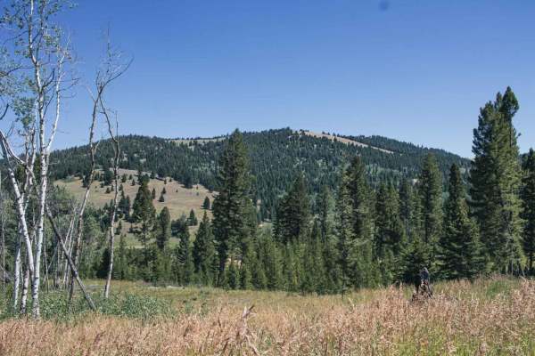 Treasure Mountain
