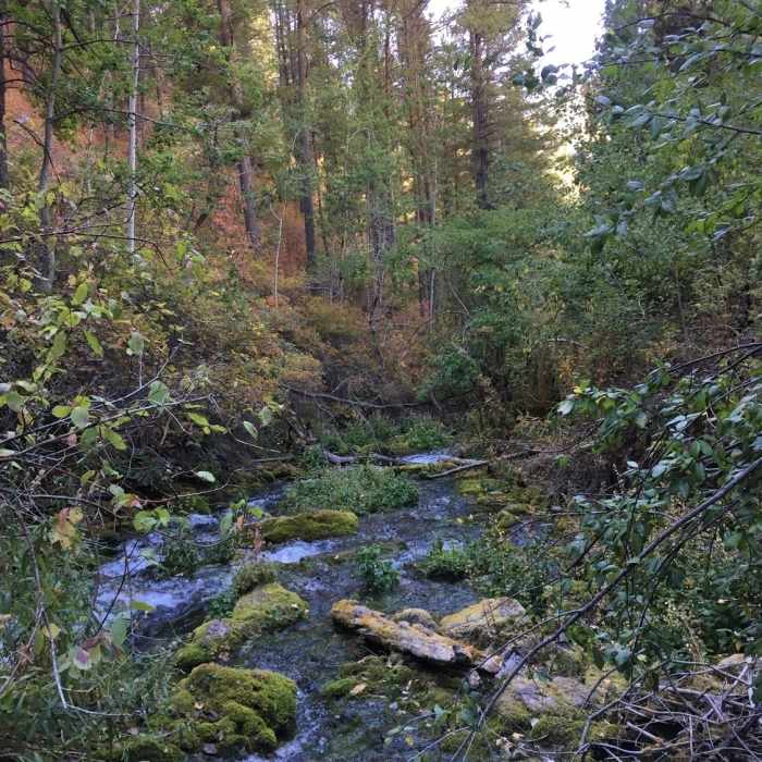 Do you hear that ... yes, its water. Near Crimson Trail