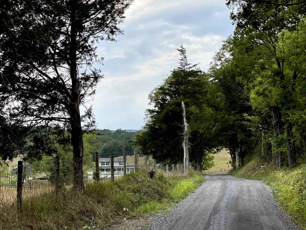 South Sugar Creek  photo 6