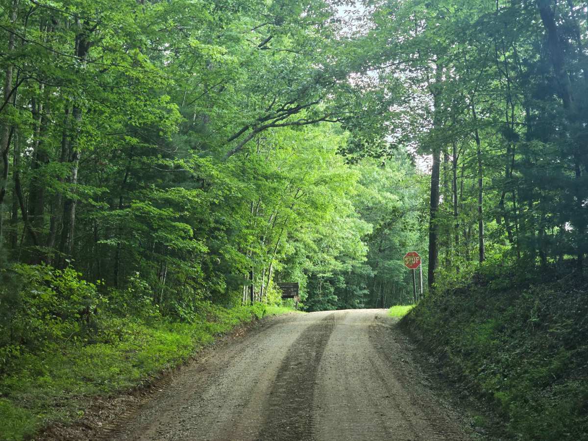 Duncan Hollow Road photo 2