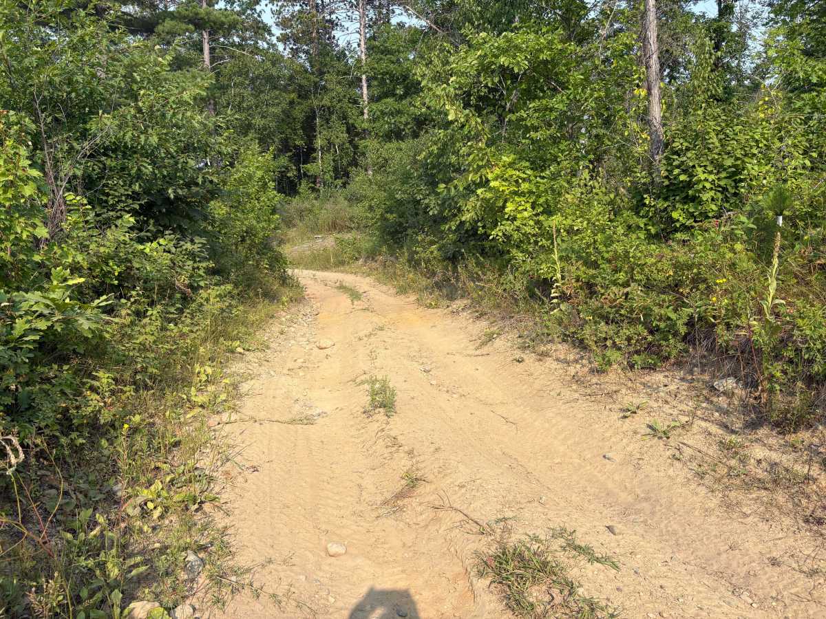 Forest Road 0425 photo 5