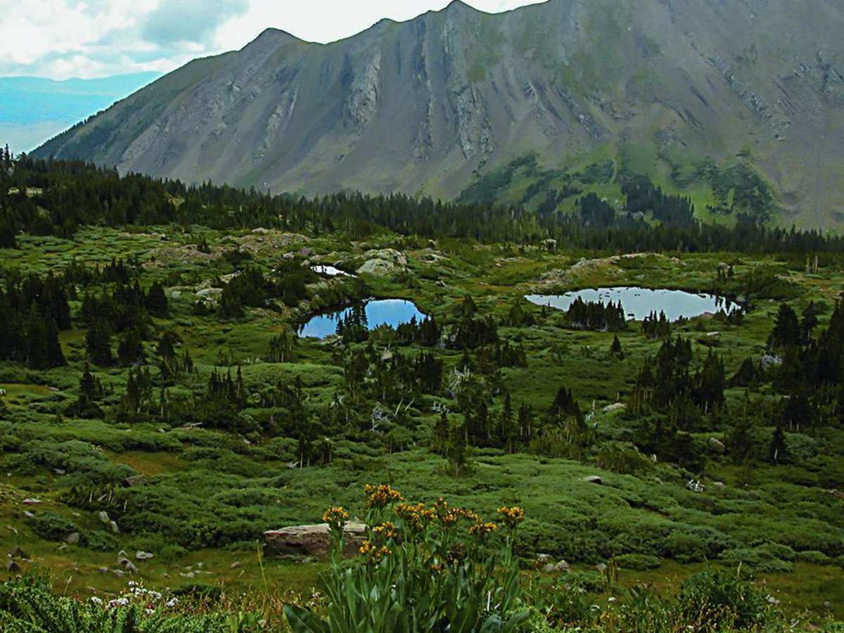Hermit Pass photo 2