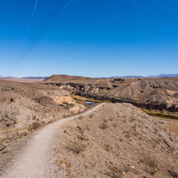 Near Las Vegas Wetlands