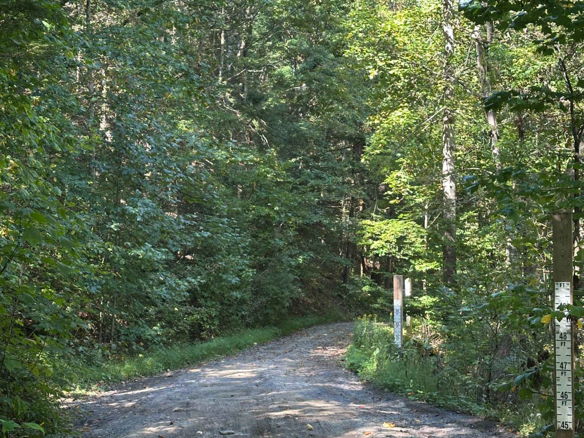 Little River photo 4