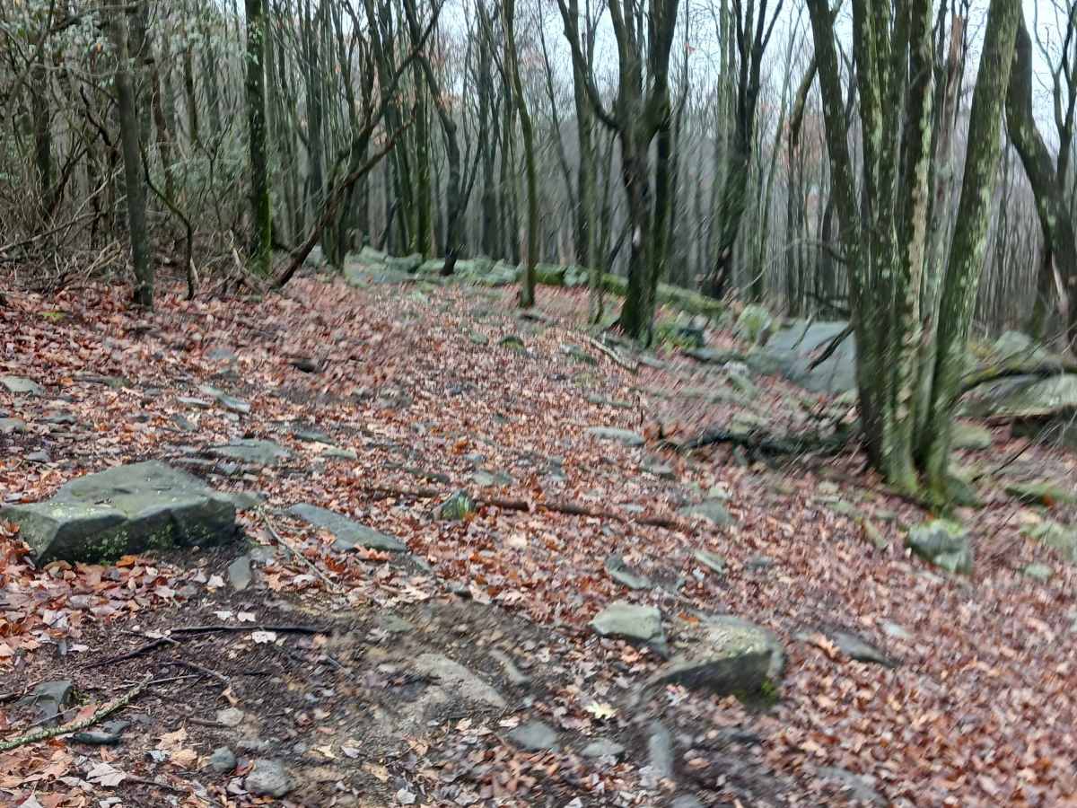 OHV 36 - Rock Run Recreation Area photo 5