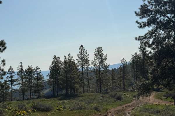 Observatory Loop