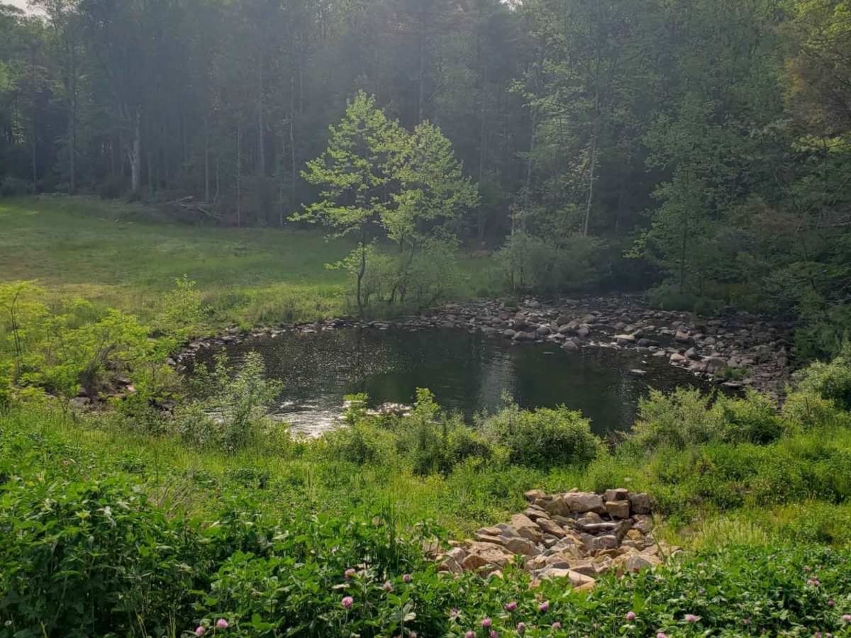 Tillman photo 6