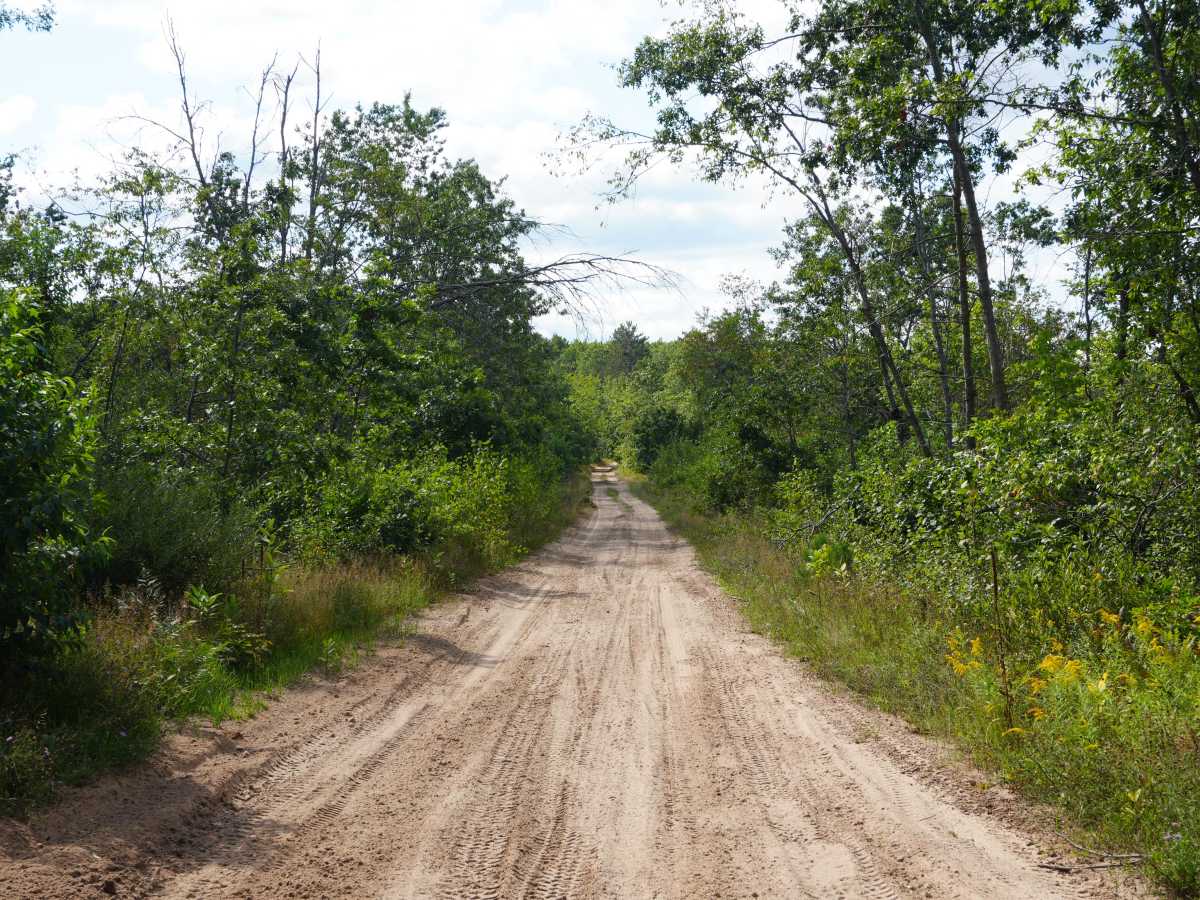 Witty Road trail photo