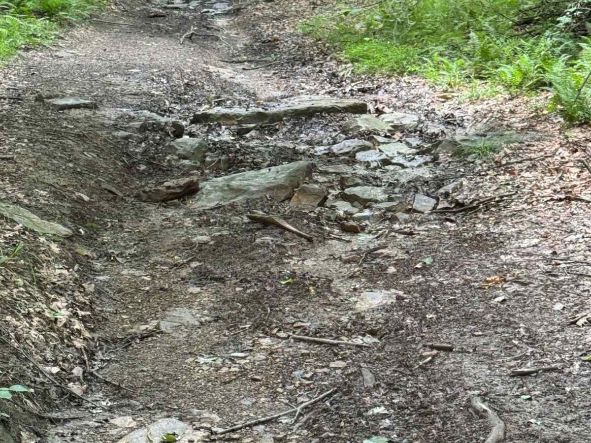 Trail 36 photo 5