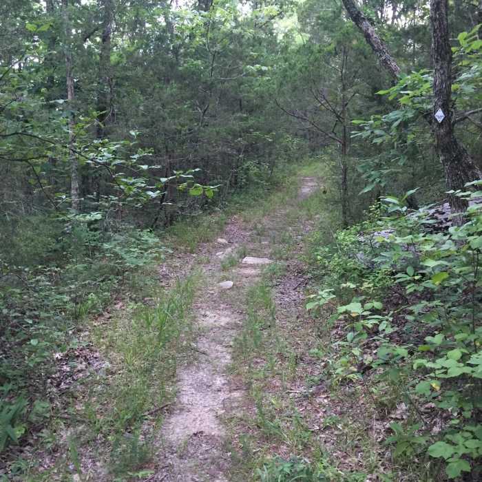 Near Wade Mountain Loop