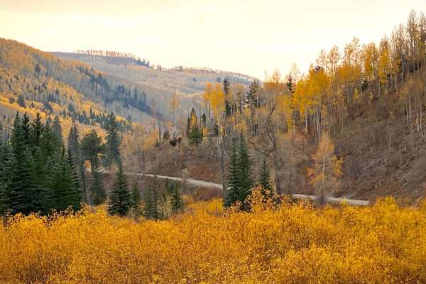 South Fork Ilium Road