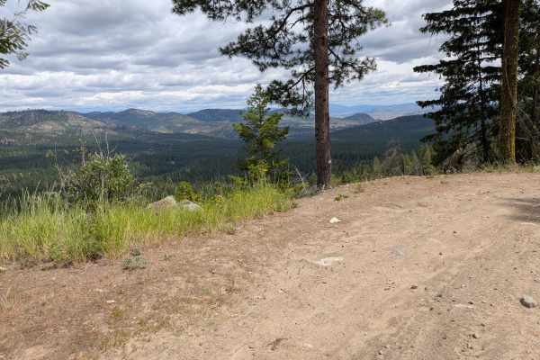 Woody Summit Road