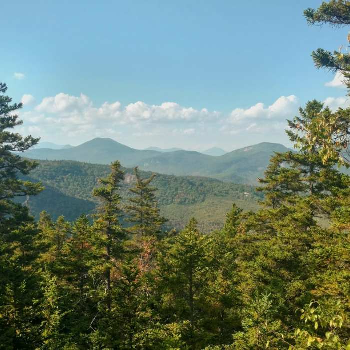 Near White Ledge Loop Trail