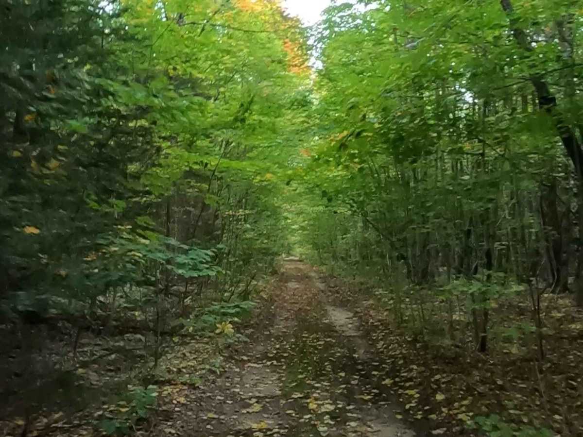 Weasel Truck Trail  photo 5