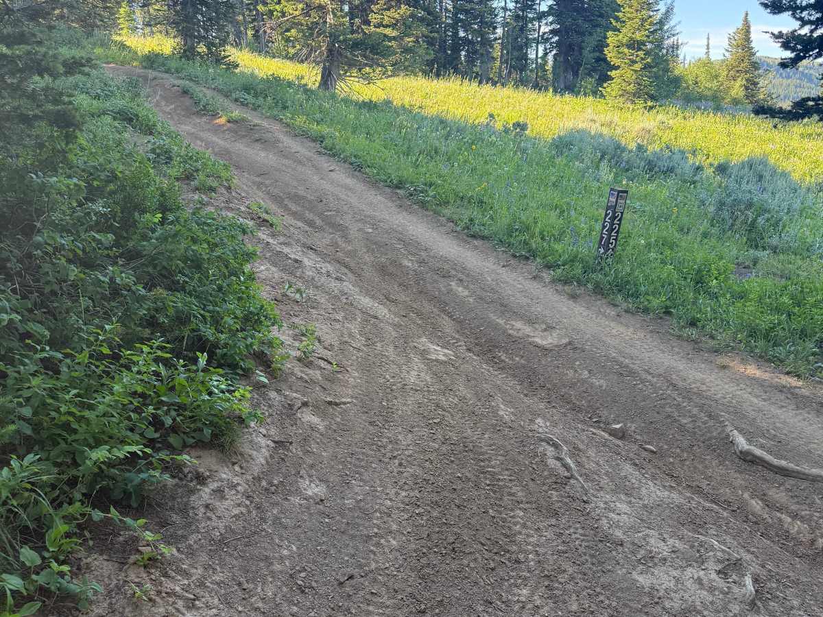Elk Flat Relay Station - FS 227 trail photo
