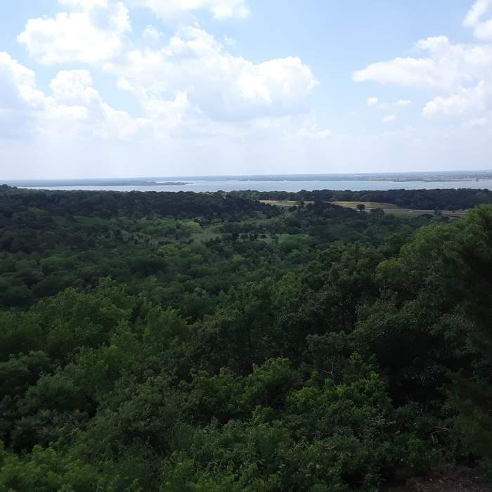 Near Cedar Ridge Loop