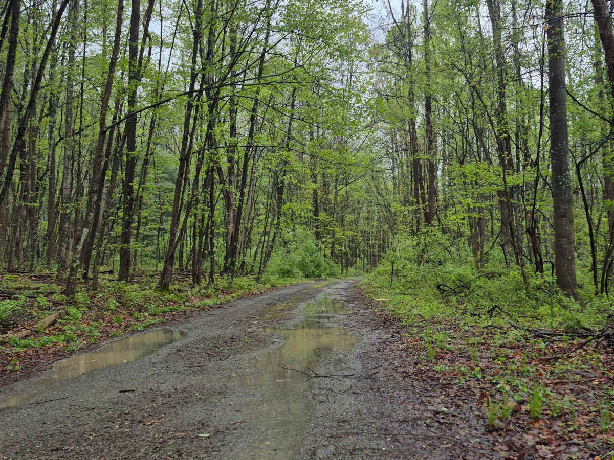 Rock Spring Trail photo 2