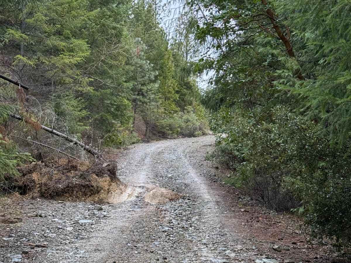 Walker Mountain Road trail photo