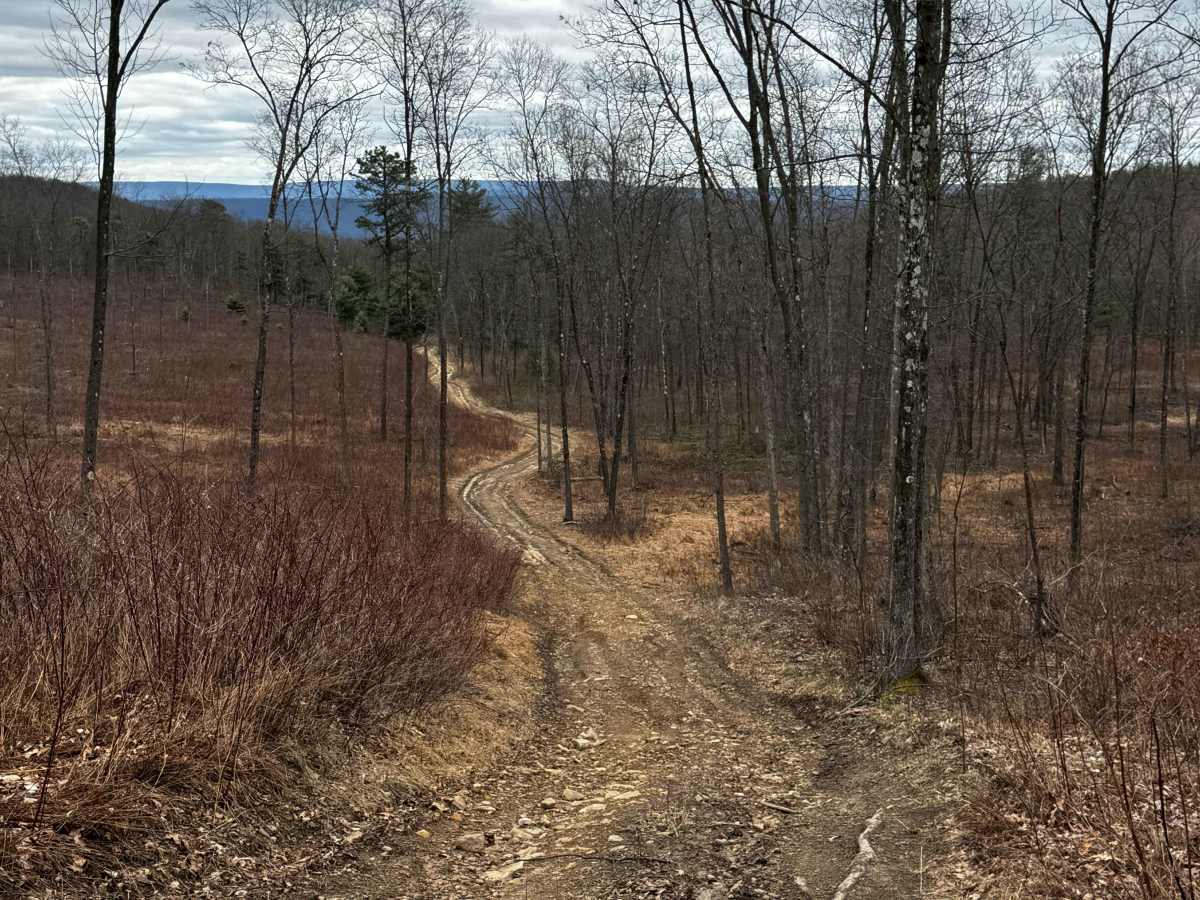 Bartley Hollow Road photo 4