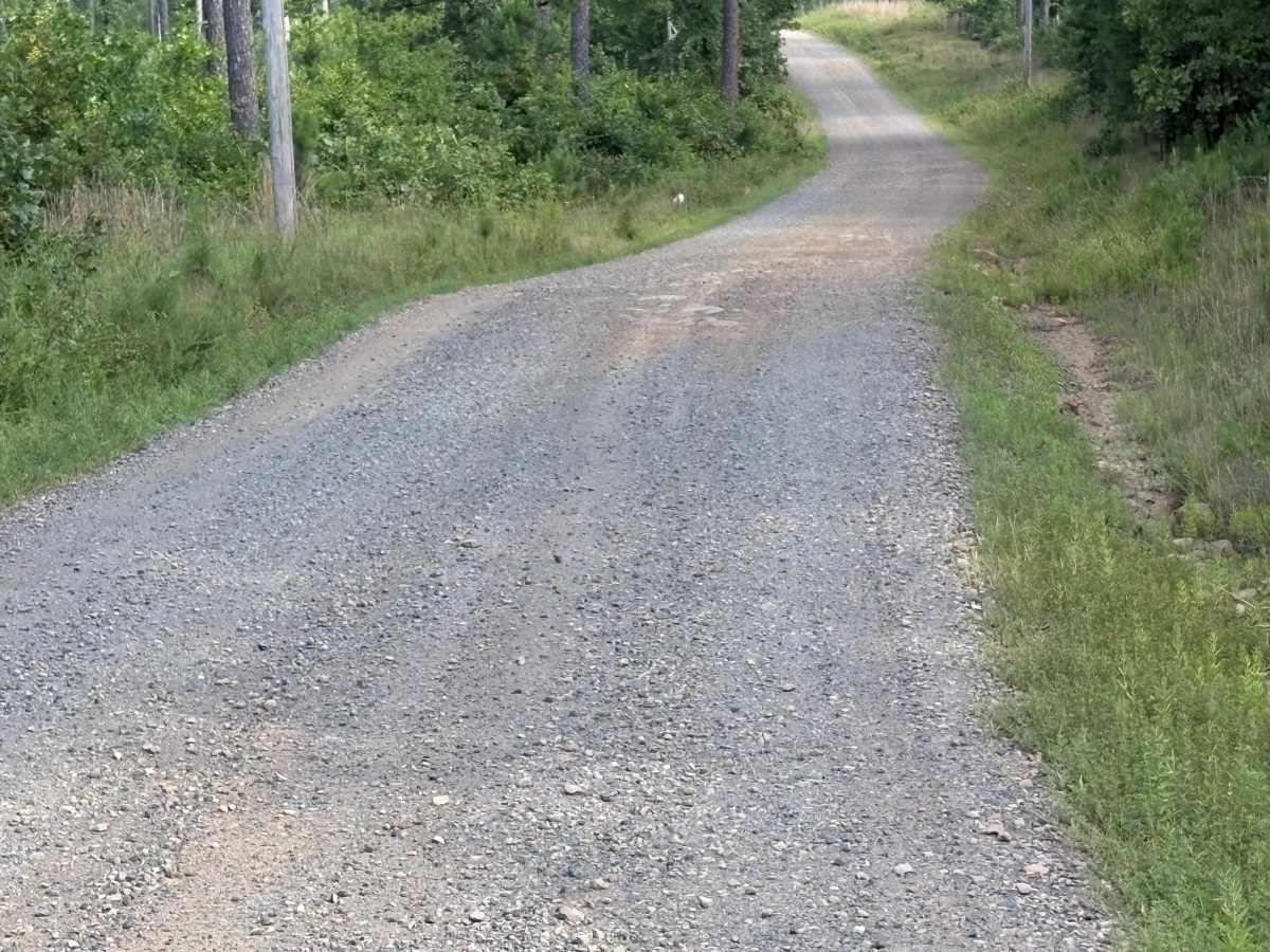 Lower Haw Creek Road trail photo