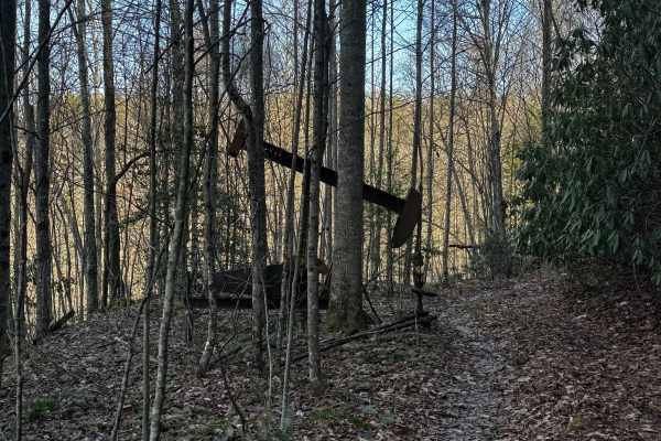 Boneyard Trail 2A Speedbump