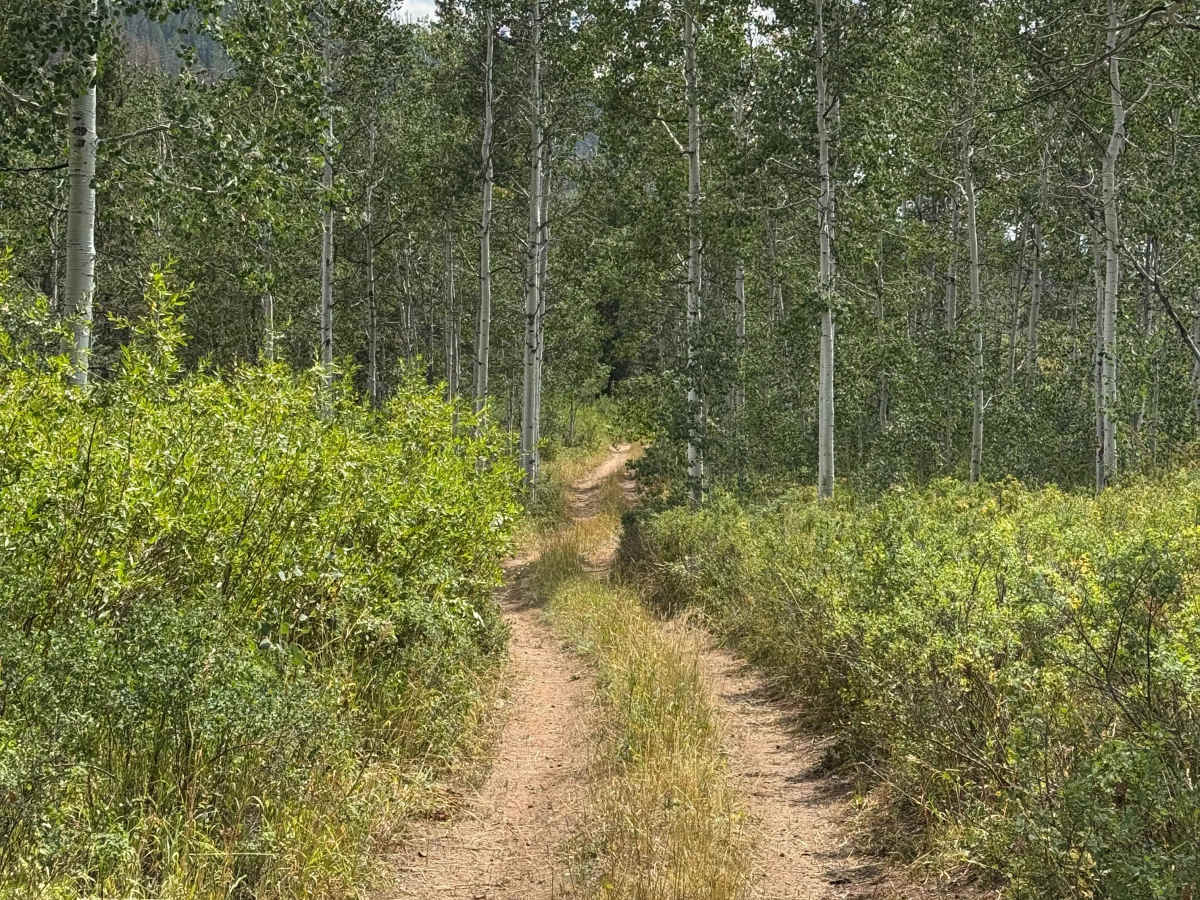 Bowes Spur Road - FS 471.1B photo 5