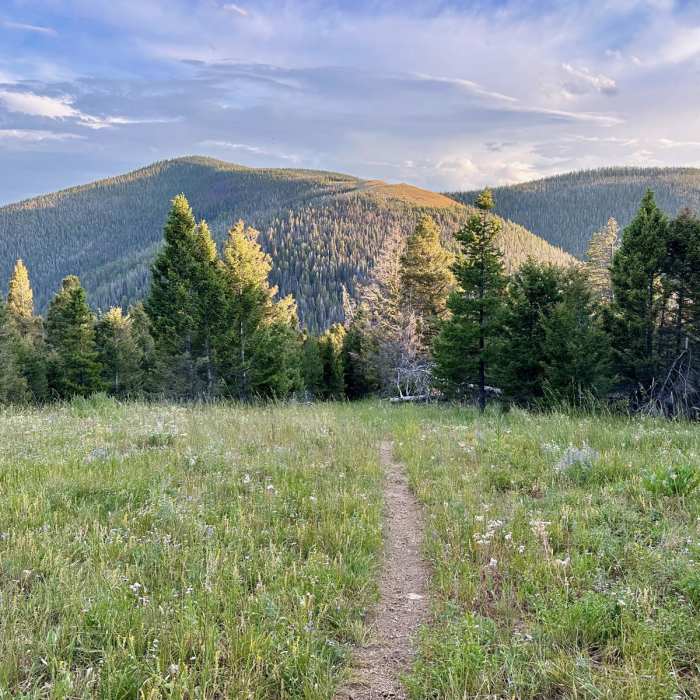 Near Continental Divide Trail: Montana-Idaho Section 21