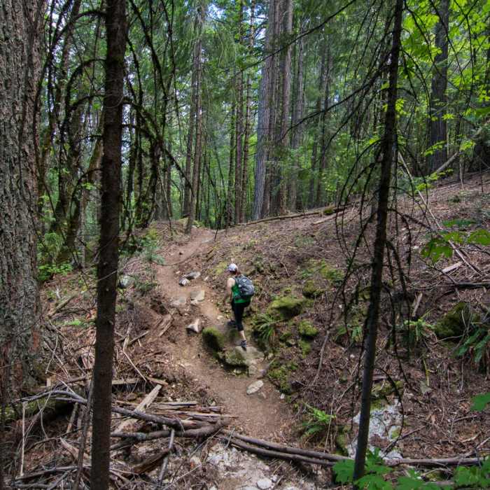 Near Root Creek Falls