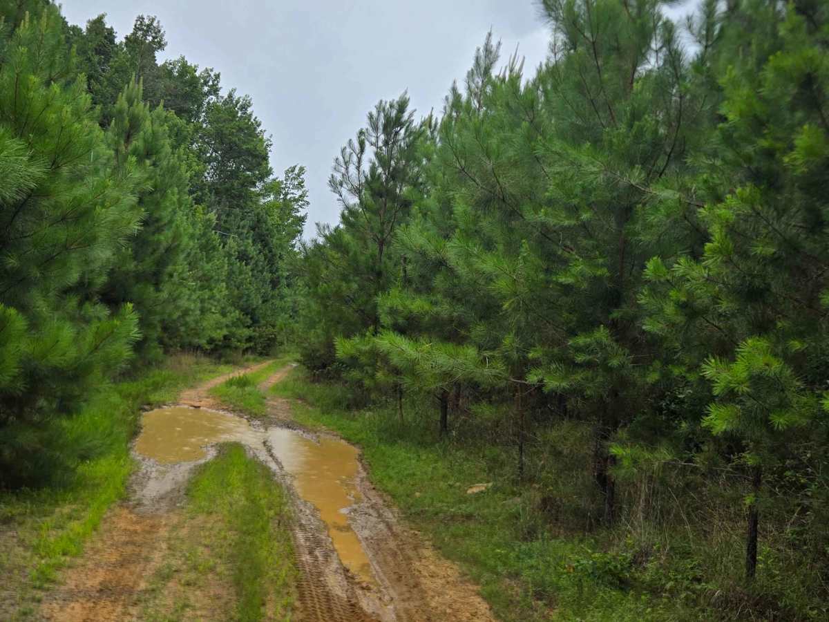 Low Gap Cemetery Road photo 6