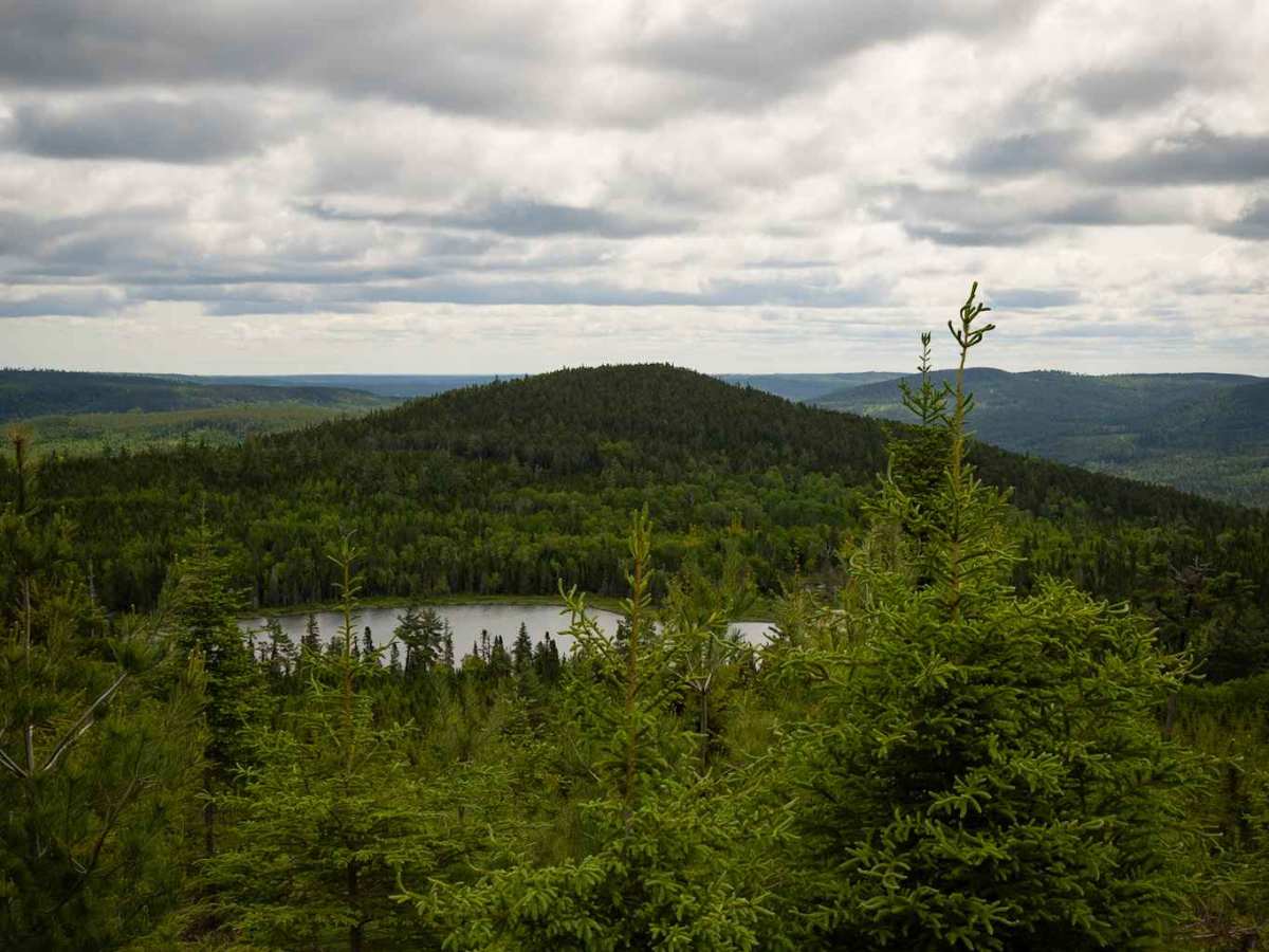 Fogans Lake Overlook Trail trail photo