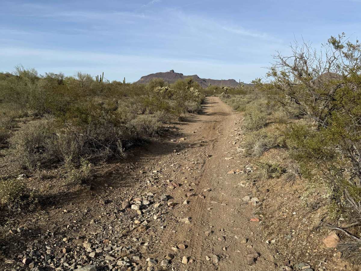 Trail 32022 photo 2