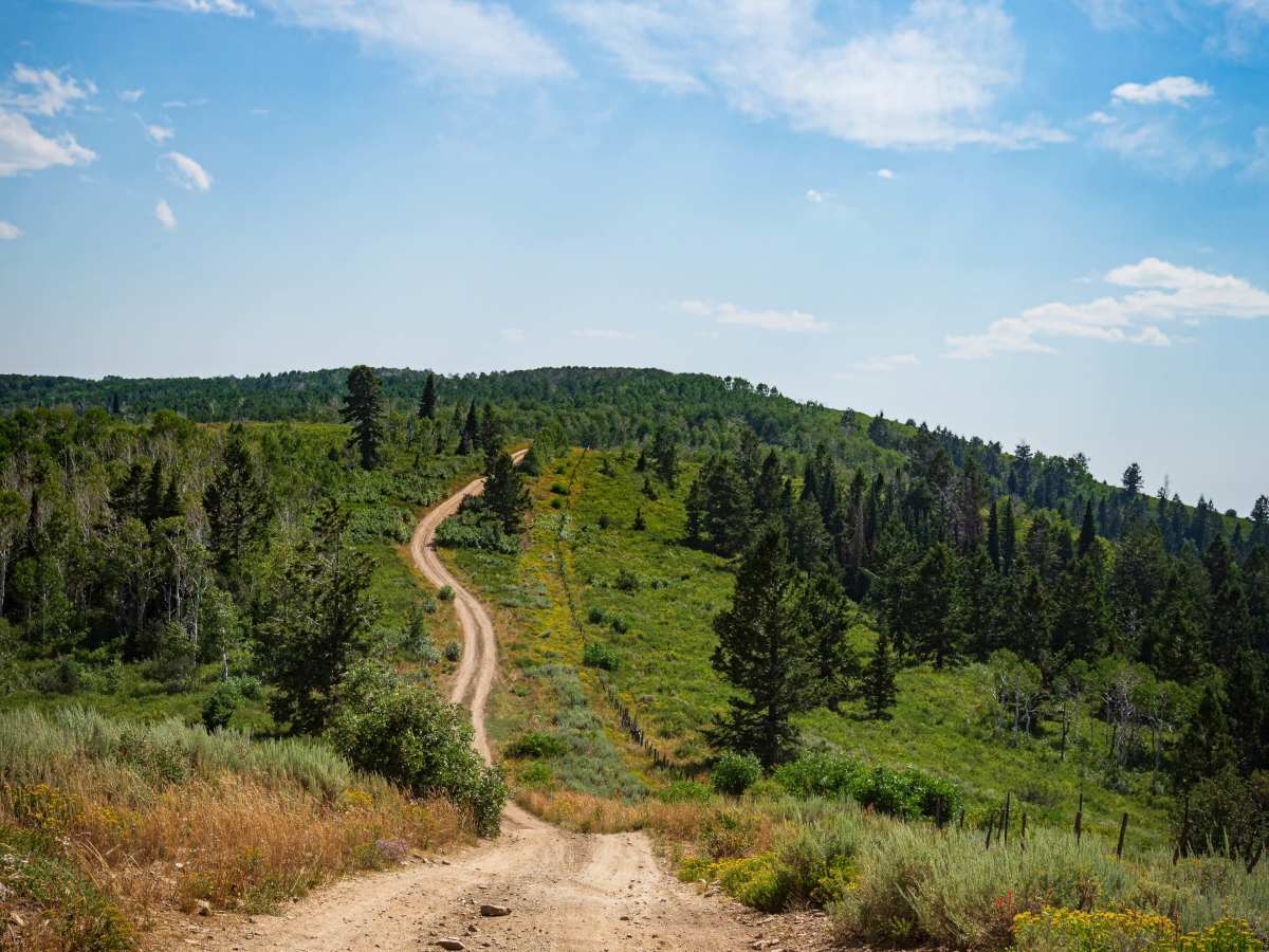 Strawberry Ridge - FS 70518 trail photo