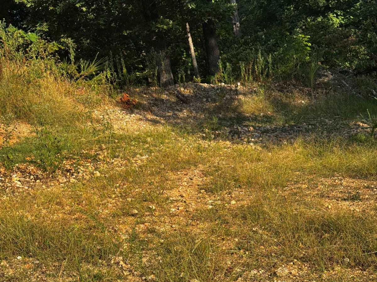 Main Track Cut Thru 2 photo 2