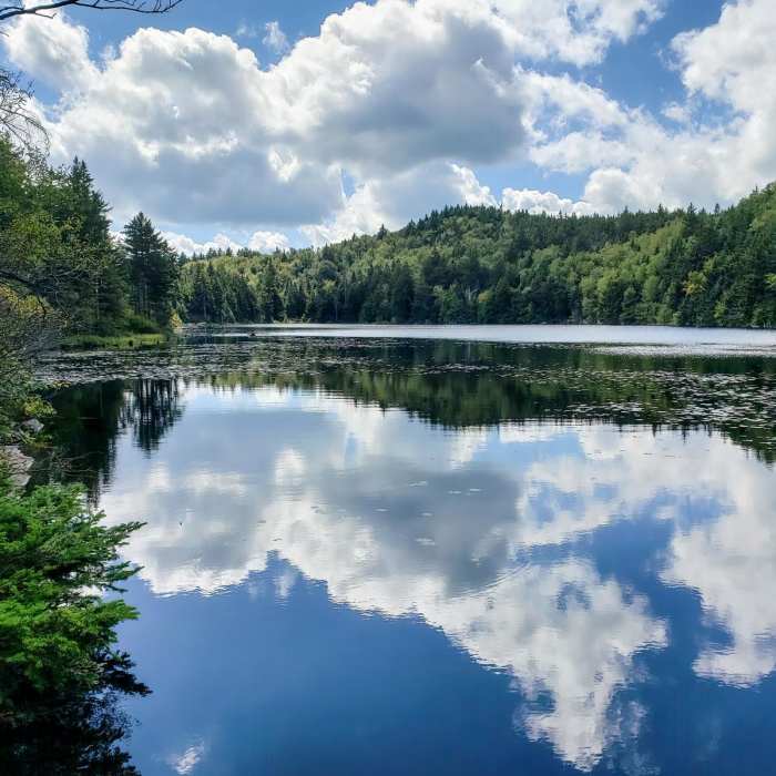 Near Mount Sunapee via Newbury Trail