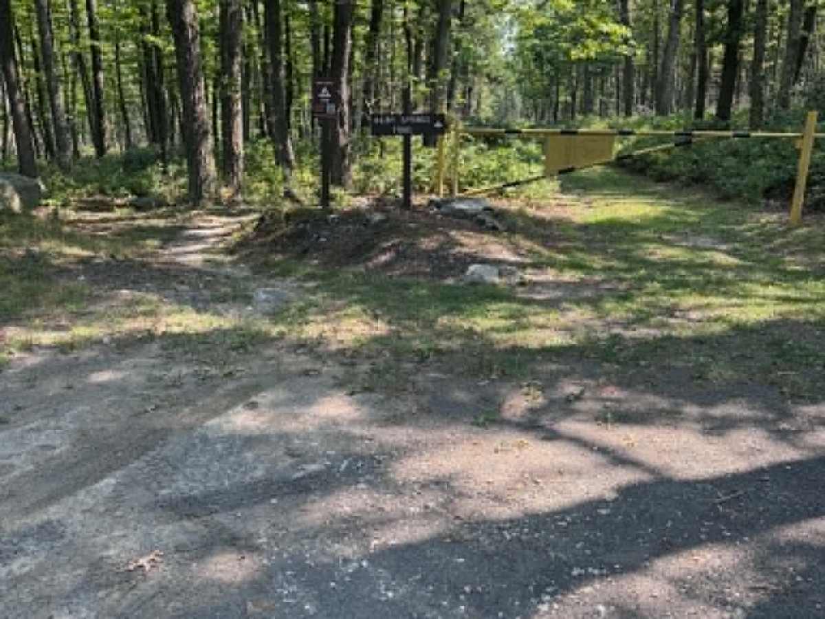 Big Pond Hollow trail photo